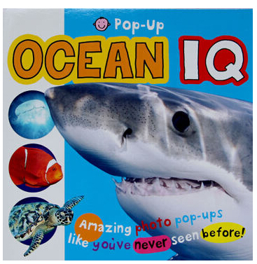 Pop-Up Ocean IQ