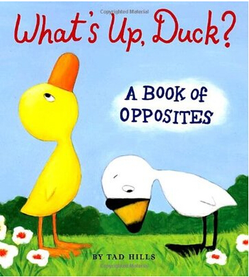 Duck & Goose: What's Up, Duck