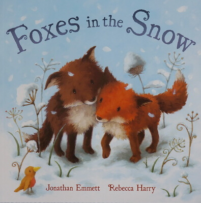 Foxes in the snow