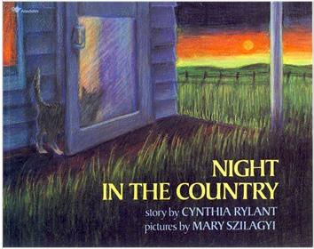 Night in the country L2.8