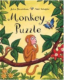 Monkey Puzzle L1.8