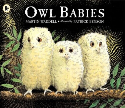 Owl Babies  L2.4