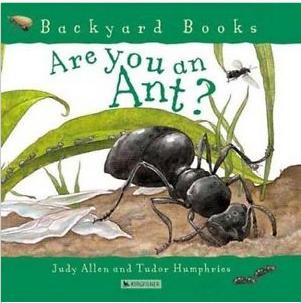 Are You an Ant?  L2.9