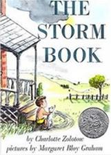 The Storm Book
