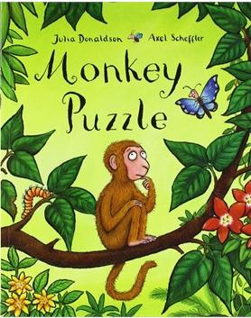 Monkey Puzzle L1.8
