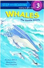 Step into reading: Whales the Gentle Giants L2.8