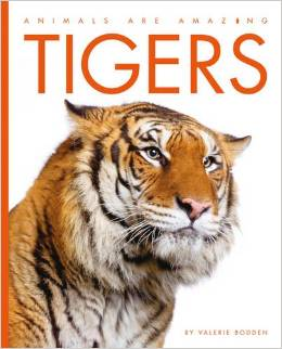 Animals Are Amazing: Tigers L2.6