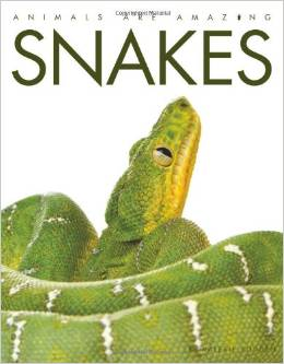 Animals are Amazing: Snakes L2.9