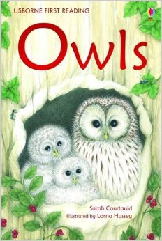 Usborne First Reading：Owls  L2.5
