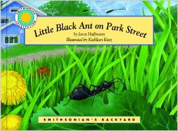 Little Black Ant on Park Street