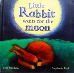 little rabbit waits for the moon