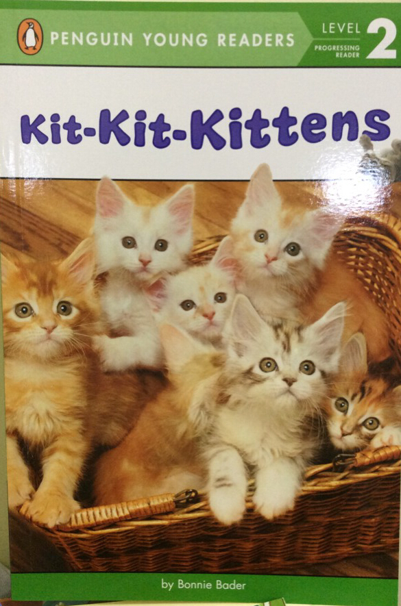 Kit-kit-kittens