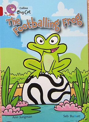 The Footballing Frog