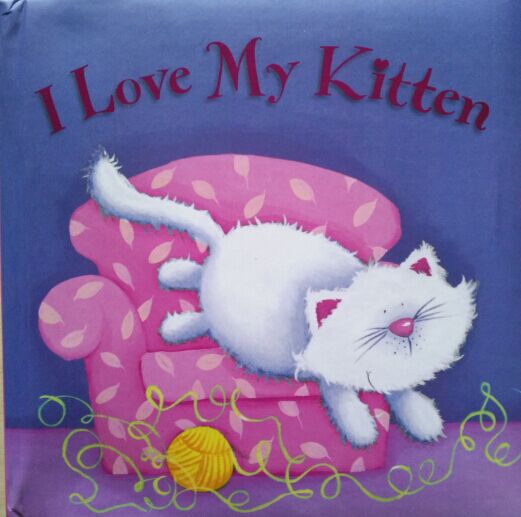 I love my kitten