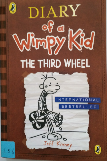 Diary of a wimpy kid