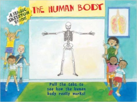 The Human Body