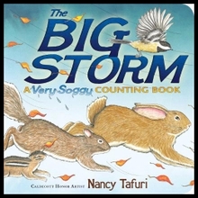 The Big Storm  L2.0