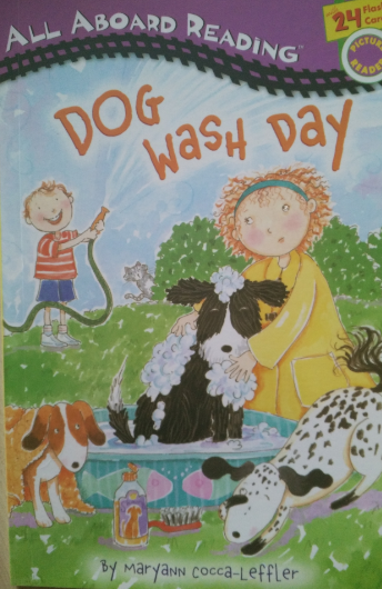 Dog Wash Day