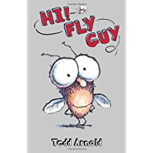 Hi Fly Guy