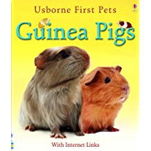 Guinea Pigs