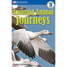 DK readers：Amazing Animal Journeys  L4.3