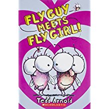 Fly Guy Meets Fly Girl