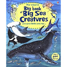 Big Book of Sea Creatures