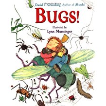 Bugs!  L4.8