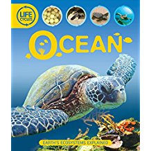 Ocean