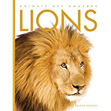 Animals Area Mazing: Lions