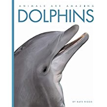 Animals Are Amazlng: Dolphins