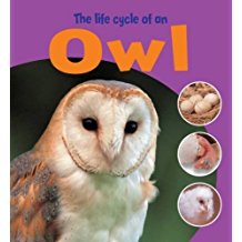 The Life Cycle of An Owl L2.9
