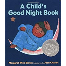 A Child's Good Night Book