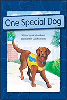 One Special Dog L4.5