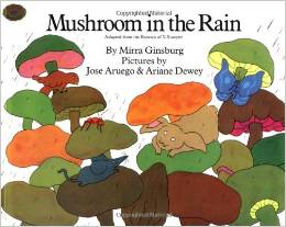 Mushroom in the Rain  L2.5