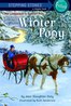 Winter Pony L3.8