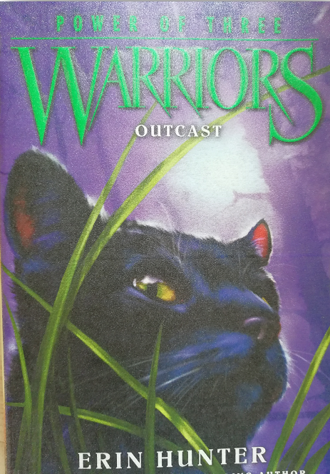 Warriors :Outcast L5.4