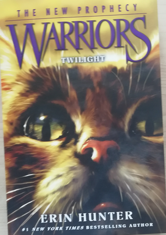 Warriors Twilight