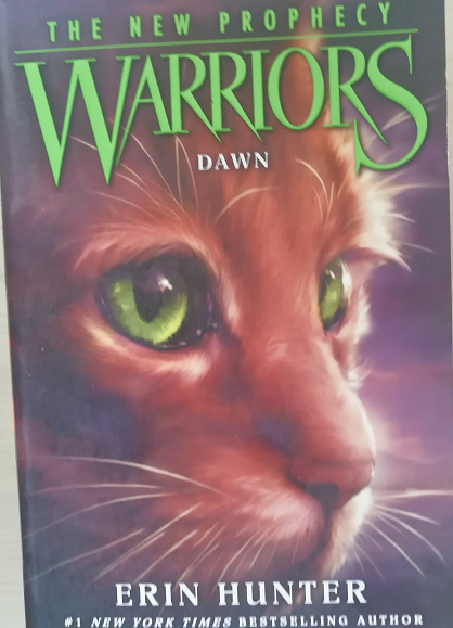 Warriors Dawn  5.1
