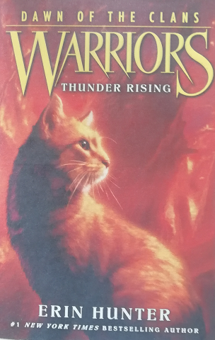 Warriors: Thunder Rising L5.0