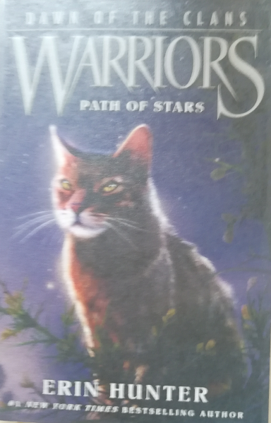 Warriors: Path Of Stars L4.5